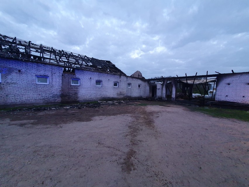 Pożar stodoło-obory w Klimontach (gmina Stary Lubotyń). 4.05.2022. Zdjęcia