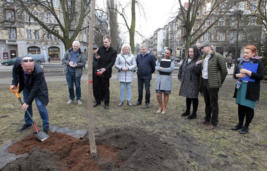 Piotr Krzystek posadził drzewo na placu Grunwaldzkim [ZDJĘCIA]