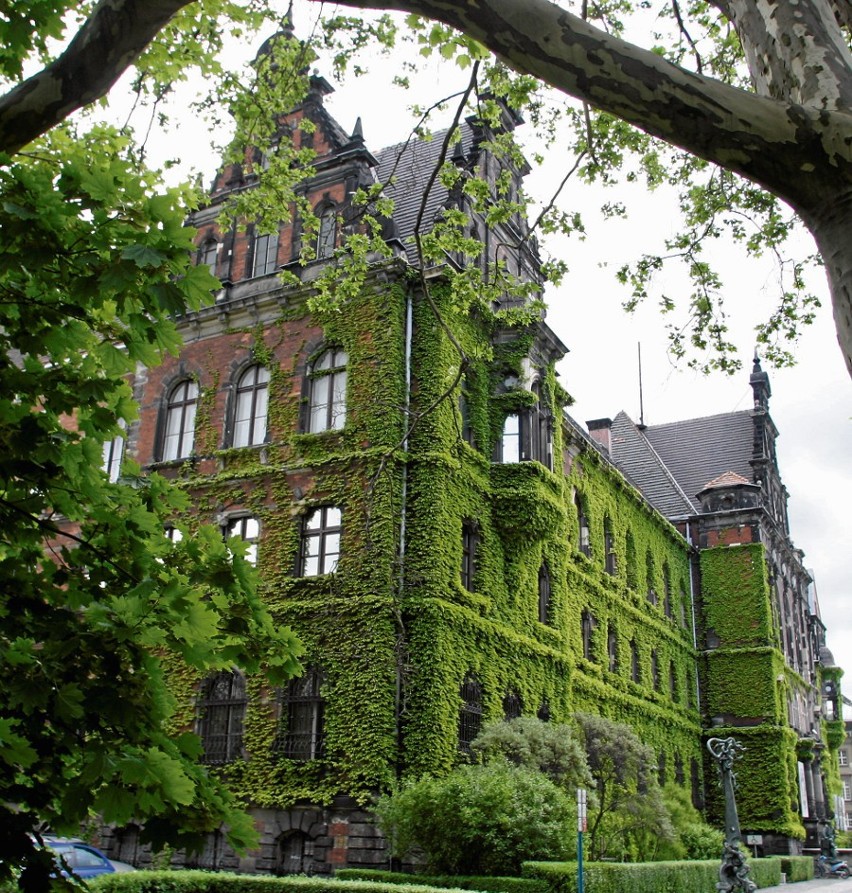 Neorenesansowy, porośnięty bluszczem budynek Muzeum...