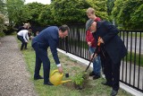 Projekt "Trees For Europe na Mazowszu" trafił do szkół w powiecie ostrowskim. 2.06.2023 rozdano kilkaset sadzonek