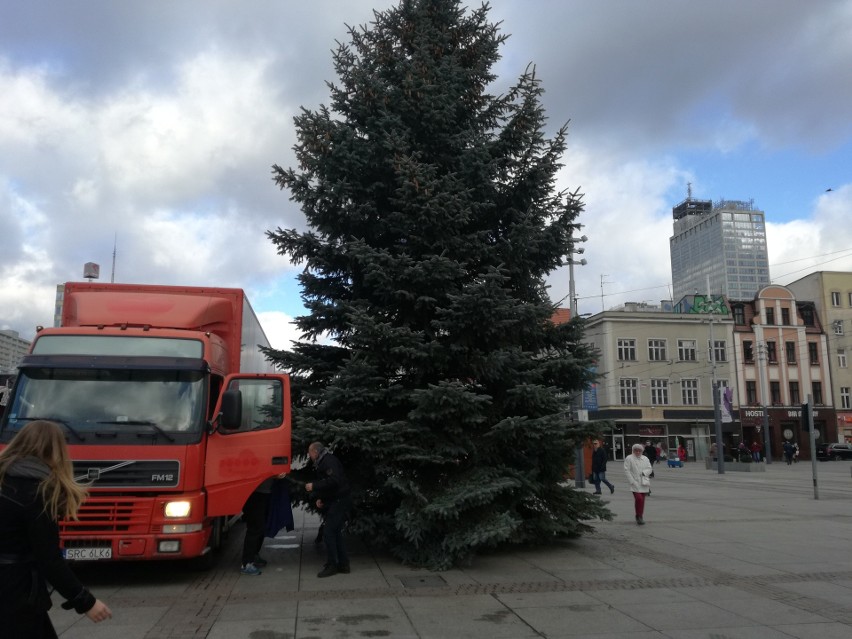 Choinka na rynku w Katowicach