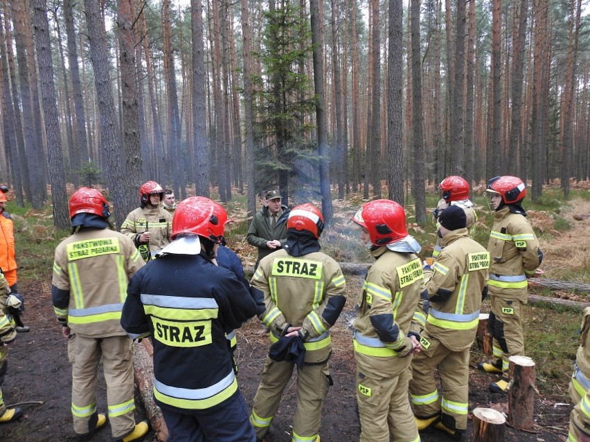 Ćwiczenia lubelskich strażaków w Nadleśnictwie Biłgoraj. Zobacz zdjęcia