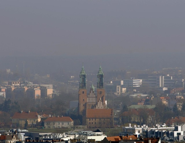 Wyniki pomiarów od rana wskazują umiarkowany poziom smogu