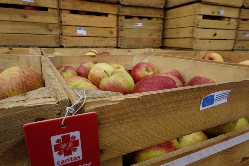 Wrocław: 20 ton jabłek do rozdania (ZDJĘCIA)