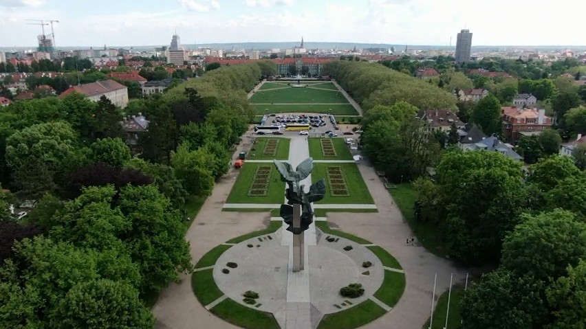 Tysiące kwiatów w Szczecinie. Jest pięknie i kolorowo! [ZDJĘCIA]