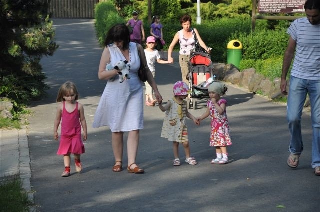 Dzieci opanowaly opolskie zoo