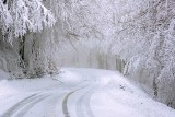 Olkuska policja apeluje o pomoc osobom zagrożonym zamarznięciem. Zobacz, jak możesz im pomóc!