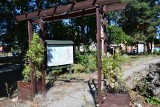 Niezwykły ogród sensoryczny powstał w Krzcinie, w gminie Koprzywnica. Ten ogród ma leczniczą moc. Zobacz zdjęcia