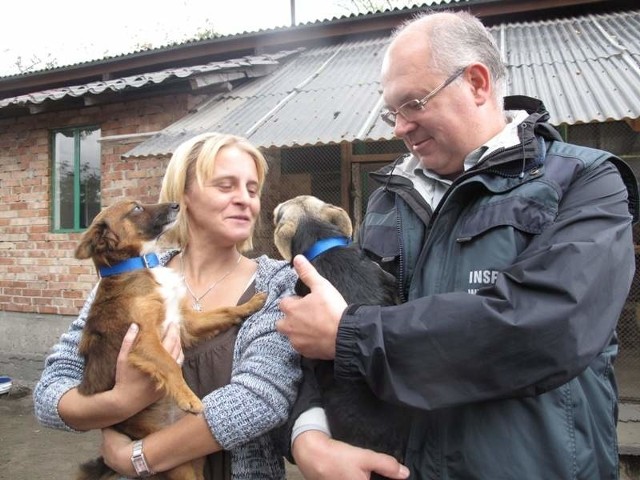 Transport 68 psów z mieleckiego schroniska wyruszył w piątek do Niemiec