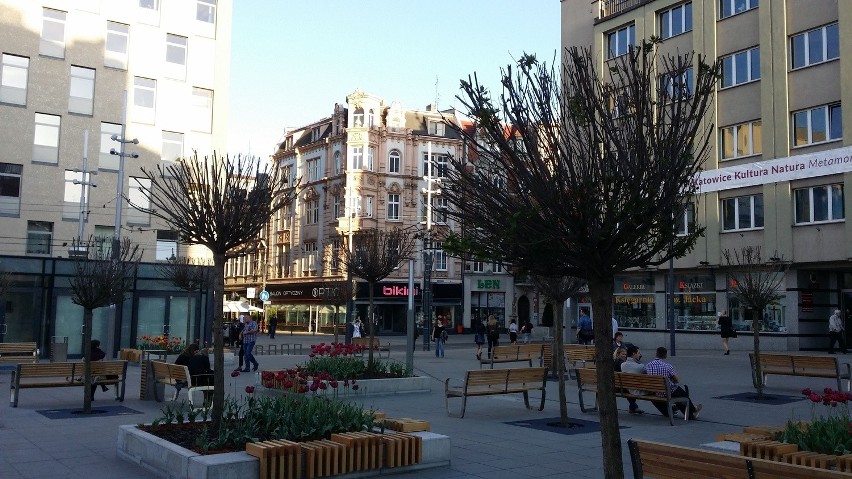 Rynek w Katowicach