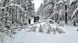Atak zimy w pierwszy weekend kwietnia 2022. Gmina Boguty-Pianki pod śniegiem. Drzewa powalone na drogi, brak prądu w wielu domach