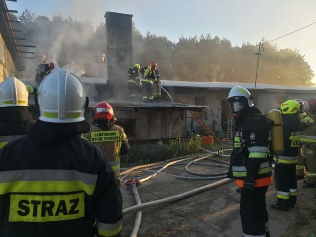 Przy ul. Klonowej w podmiasteckiej Pasiece palił się kurnik. Strażacy szybko ugasili ogień. Prawdopodobna przyczyna pożaru to zapalenie się drewna składowanego przy piecu. Nie ucierpiały zwierzęta. W kurniku znajdowało się 18 tysięcy sztuk drobiu. Straty oszacowano na 60 tysięcy złotych.