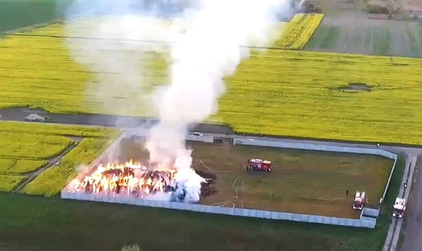 Pożar pod Wrocławiem, na polach pomiędzy Psim Polem a...