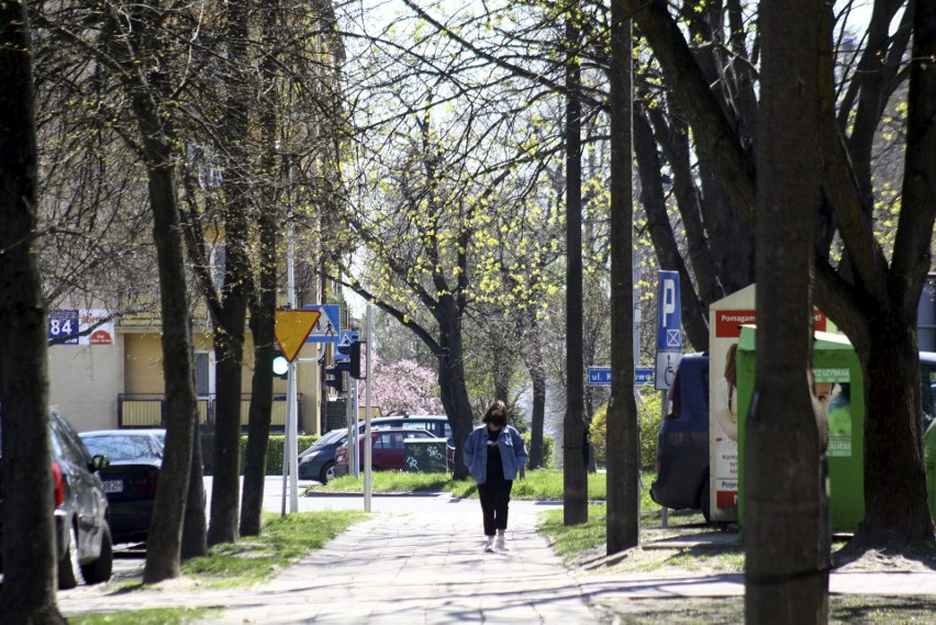 Spacerkiem po Bronowicach. Tak wiosną prezentuje się ta dzielnica Lublina. Zobacz te zdjęcia