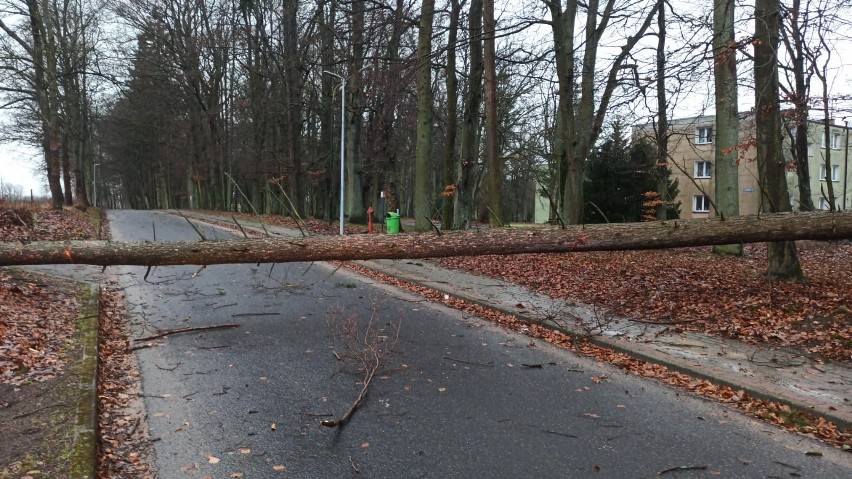 W ostatnich godzinach w naszym regionie bardzo mocno wiało....