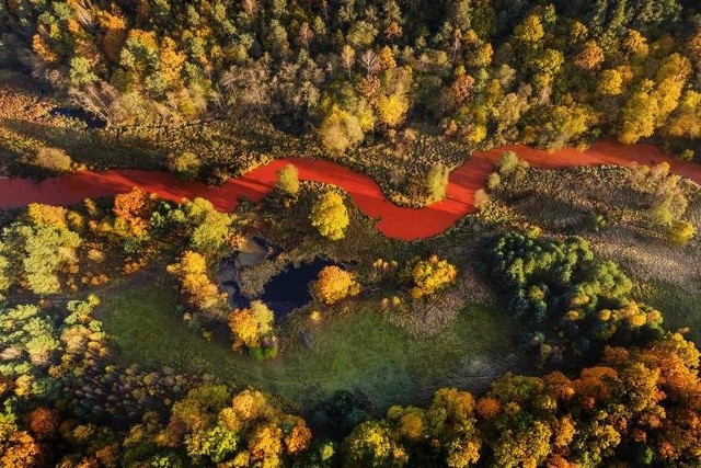 Tak wyglądała Kamionka po zrzucie osadów z kopalni w Suchedniowie.