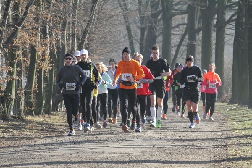 Wrocławska Trzydziestka. Biegacze ruszyli na solidny trening przed maratonem (ZDJĘCIA)