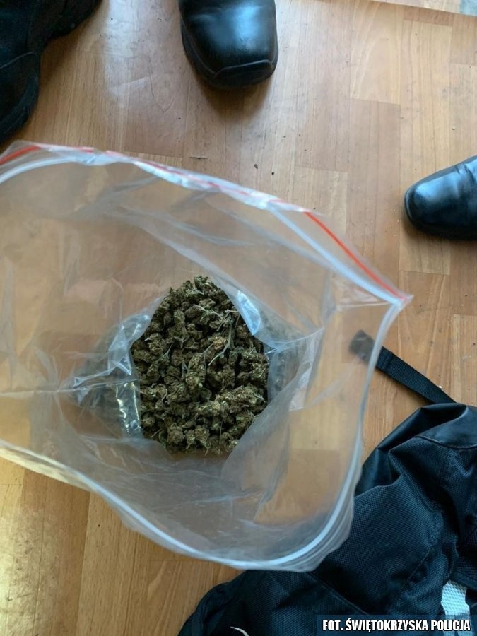 Świętokrzyscy policjanci przejęli kilogramy narkotyków [ZDJĘCIA]