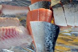 Jaka ryba na Wigilię zamiast karpia? Cena morszczuka, mintaja, amura, sandacza i innych ryb z gospodarstw rybackich, kutrów i sklepów