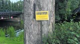 PKP chce wyciąć drzewa wzdłuż Szlaku Żurawiego. Pół tysiąca osób protestuje