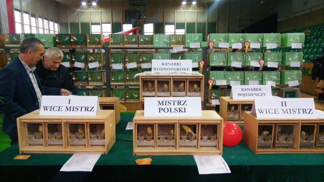 81 Ornitologiczne Mistrzostwa Polski po raz piętnasty odbywają się w Czeladzi