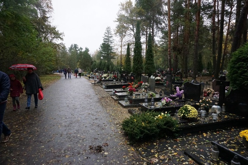 Poznań: Na cmentarz na Miłostowie przybywa coraz więcej...