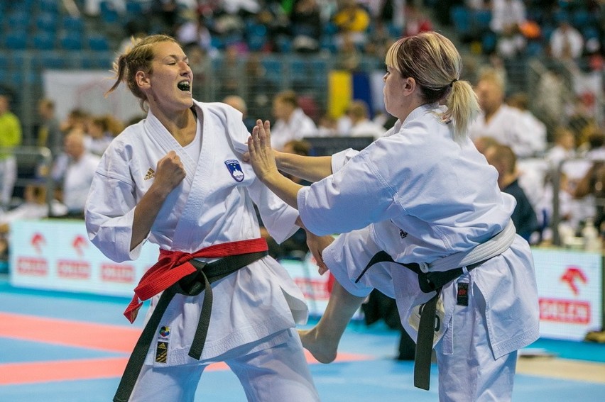Mistrzostwa Świata w Karate Tradycyjnym w Tauron Arenie [ZDJĘCIA]