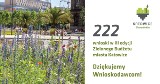 III edycja Zielonego Budżetu w Katowicach. Rekordowa liczba zgłoszeń!