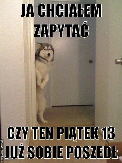 Piątek 13. Memy