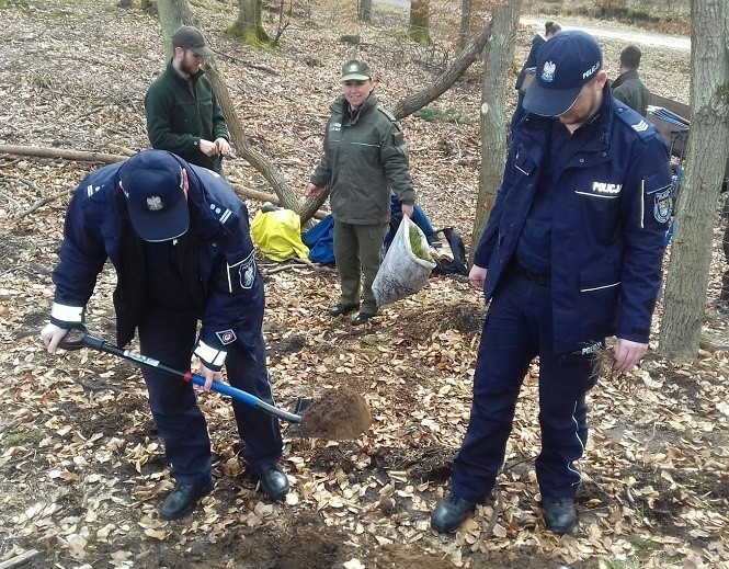 Policjanci z Lęborka sadzili las (zdjęcia)                  