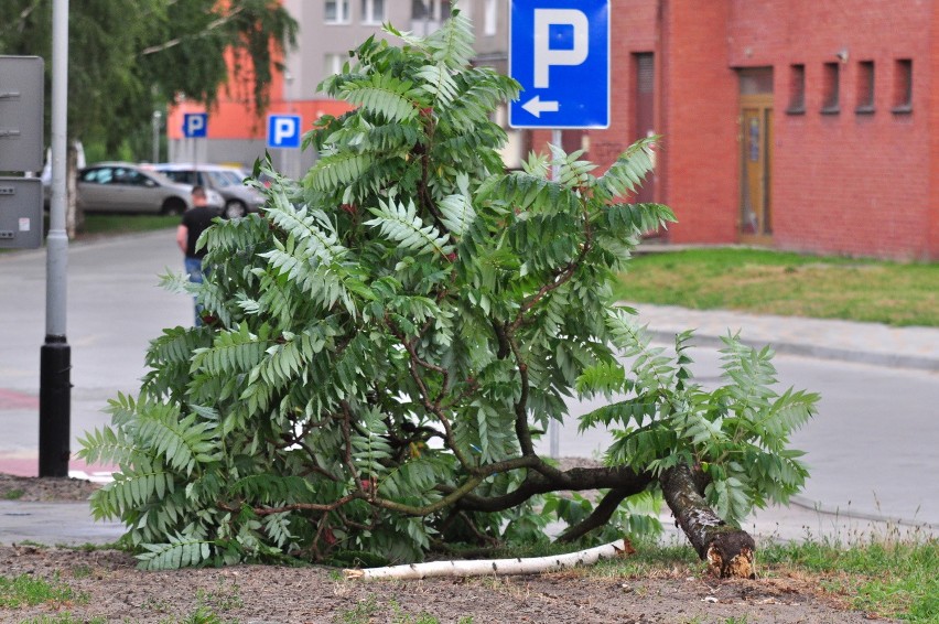 Skutki silnego wiatru w Tarnobrzegu