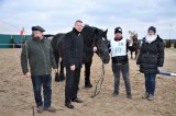 Najpiękniejsze ogiery ras zimnokrwistych zjechały na Wiosenną Aukcję Koni do stadniny Hubertus w Skaryszewie