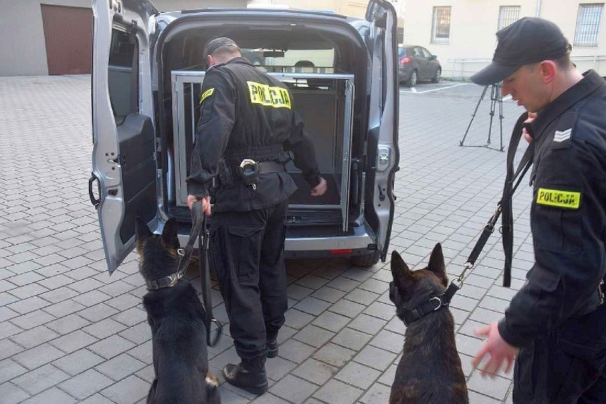 Policyjne samochody do przewożenia psów. Zobacz zdjęcia z...