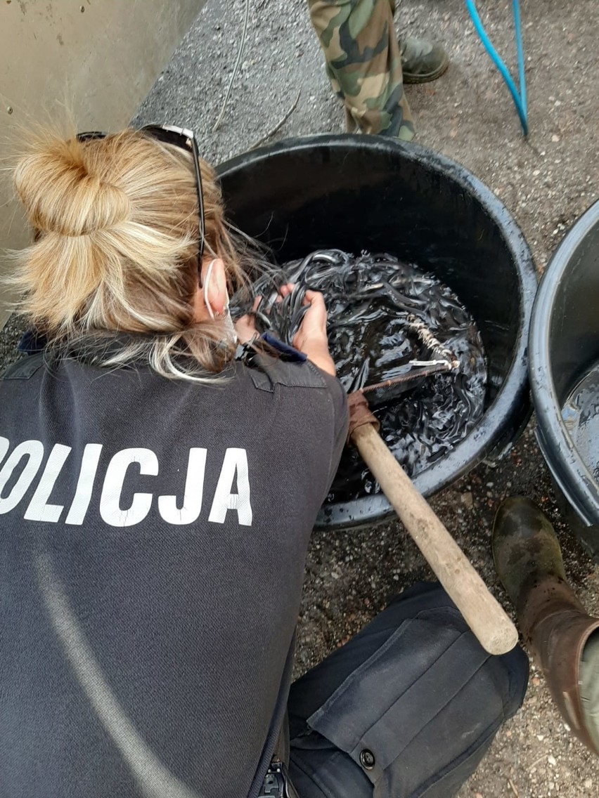 Opolscy policjanci i strażnicy rybaccy zapowiadają kolejne...