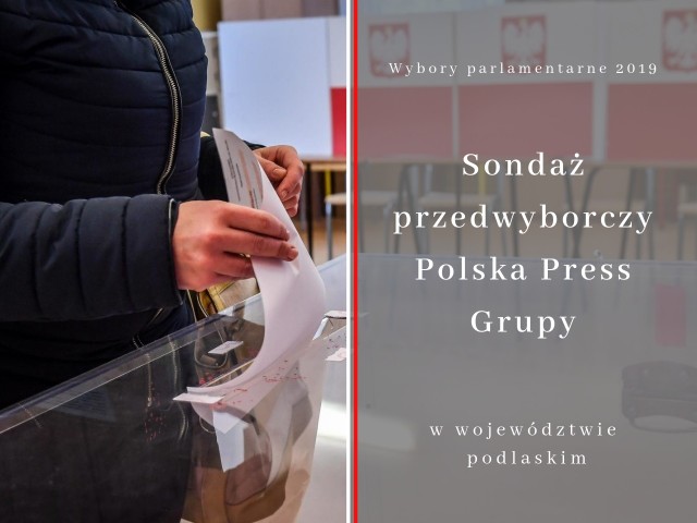 Wybory parlamentarne 2019. Sondaż przedwyborczy Polska Press Grupy