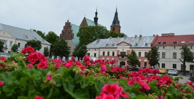 W kategorii Miejsce z klimatem –miejscowość lub gmina turystyczna można głosować na Olkusz. Łącznie do tej kategorii konkursu zakwalifikowało się 17 miejscowości z całej Małopolski.