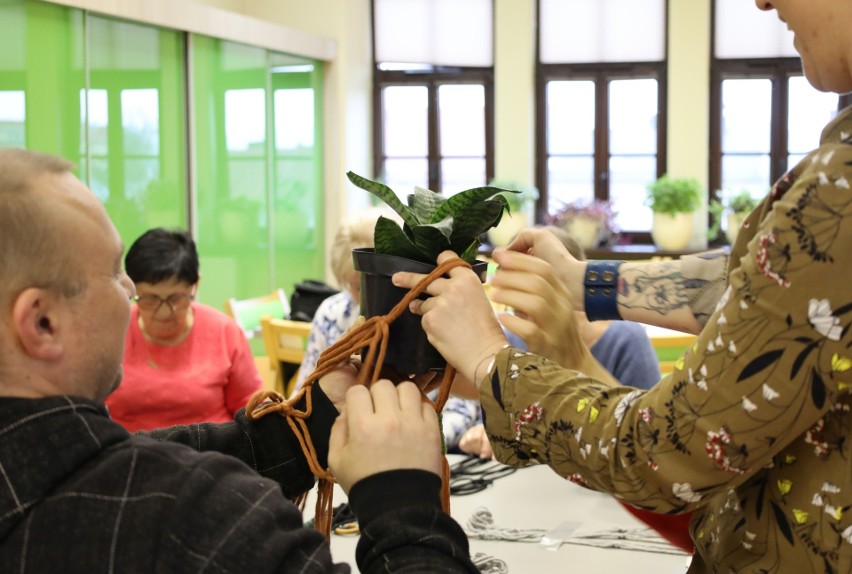 Podziel się kwiatkiem - wiosenna wymiana roślin w Żywcu. Oddaj, wymień się lub przygarnij roślinę