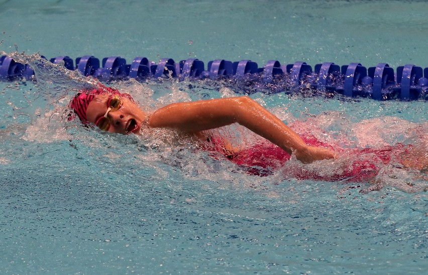 Otylia Swim Cup w Szczecinie