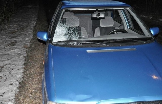 Na trasie Grodzisk - Ostrożany pijany 28-letni kierowca potrącił staruszkę