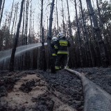 Pożar lasu w powiecie chełmskim. Akcja gaśnicza trwała ponad cztery godziny