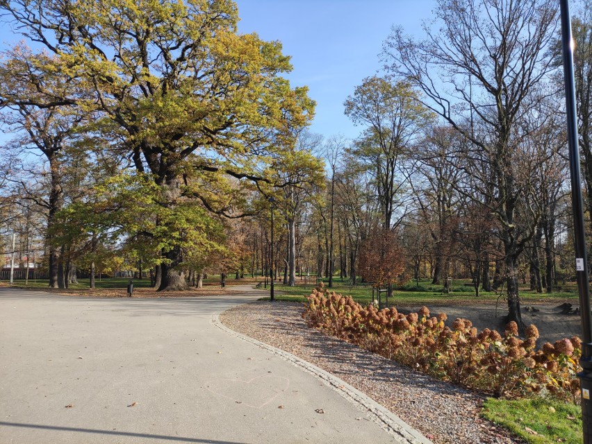 To najpiękniejszy park w Krakowie? Nie uwierzycie, ile jest w nim do zobaczenia! 23.11.2022