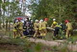 „Krajeńskie Niwy 2022”. Strażacy ćwiczyli na wypadek pożaru lasu [zdjęcia]