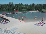 Skandal w Parku Lisiniec w Częstochowie. Ludzie śmiecą, piją na plaży i kąpią psy