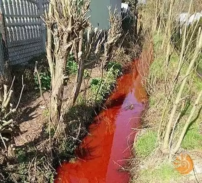 Czerwona rzeka w Myszkowie. Jeden z mieszkańców wsypał do niej impregnat do drewna
