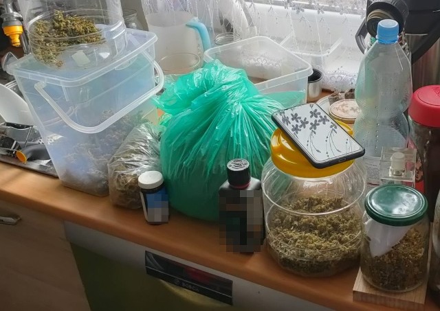 W sumie policjanci z KMP Bydgoszcz zabezpieczyli na działce 50-latka z Solca Kujawskiego niemal 5 kilogramów suszu roślinnego, którego badanie narkotesterem potwierdziło, że to [b]marihuana