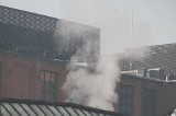Pabianiczanie kontra smog - co wymyślają, aby było czystsze powietrze? ZDJĘCIA