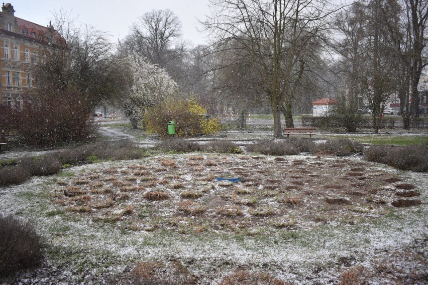 Tak obecnie wygląda park w centrum miasta. Trzeba przyznać,...