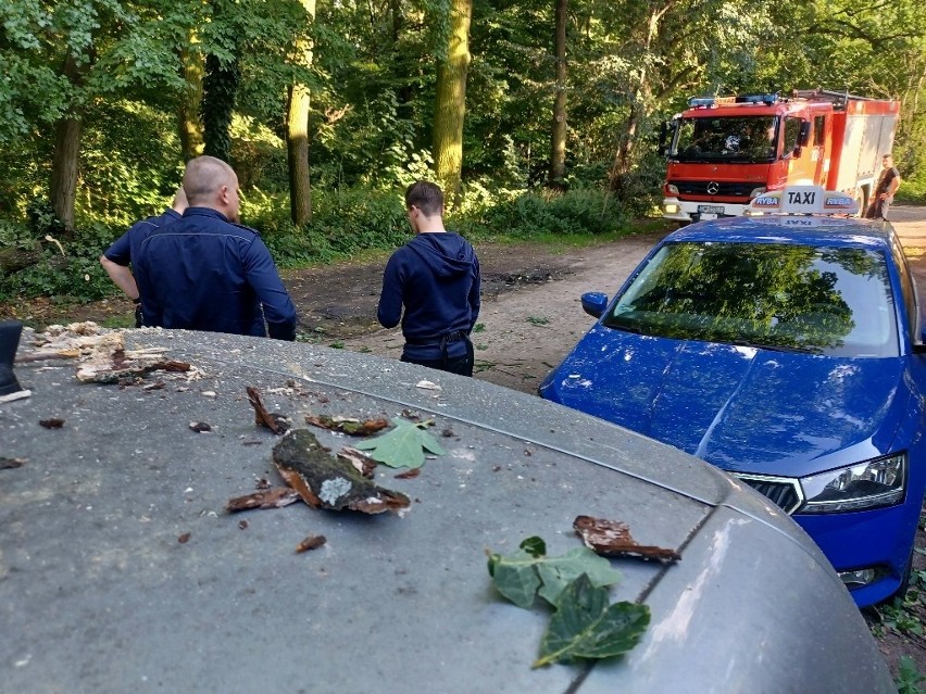 Na miejscu interweniował jeden zastęp straży pożarnej i...