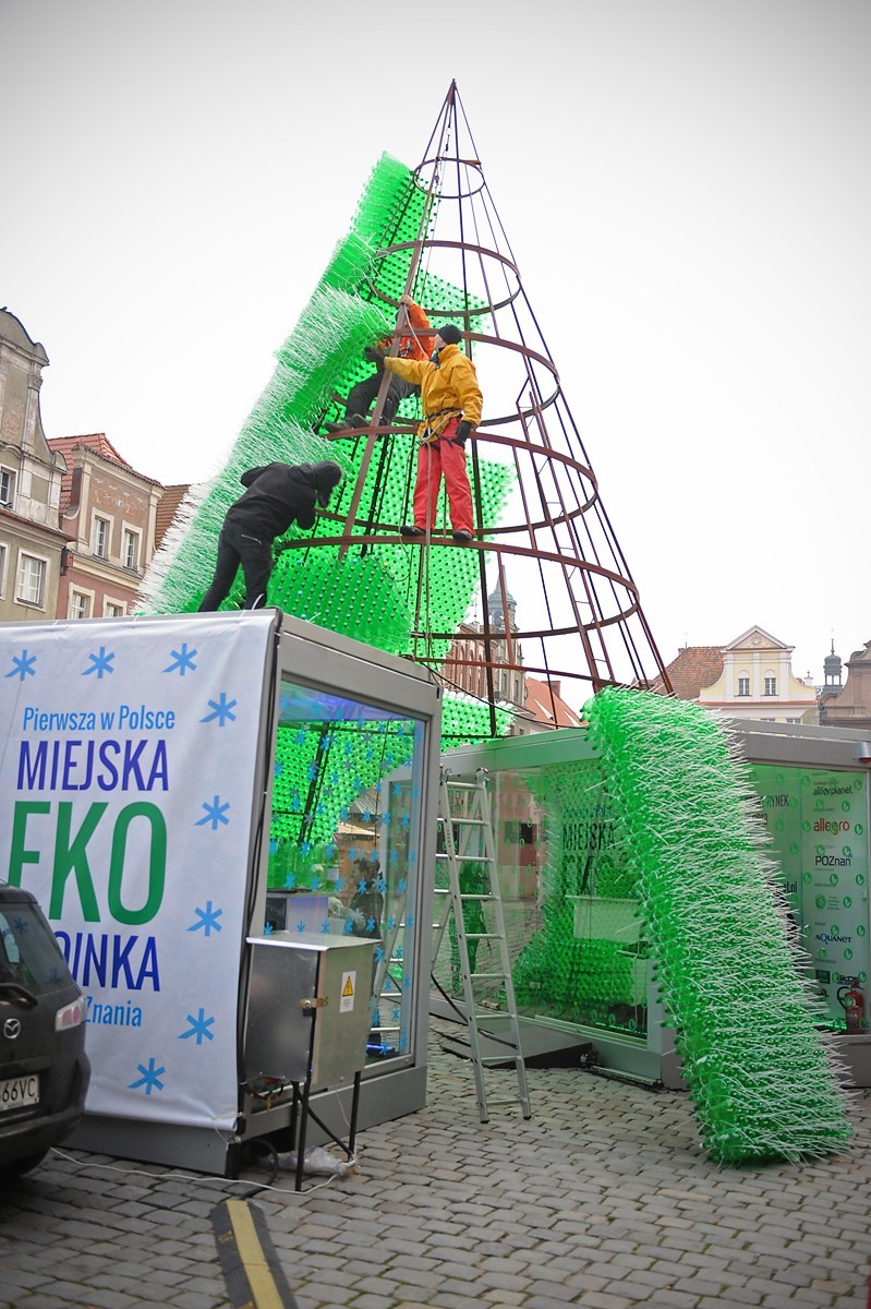 Ekochoinka w Poznaniu coraz bardziej przypomina choinkę