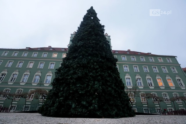 Choinka przed Urzędem Miasta Szczecin